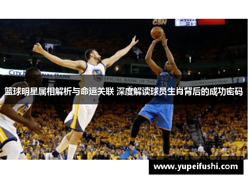 篮球明星属相解析与命运关联 深度解读球员生肖背后的成功密码